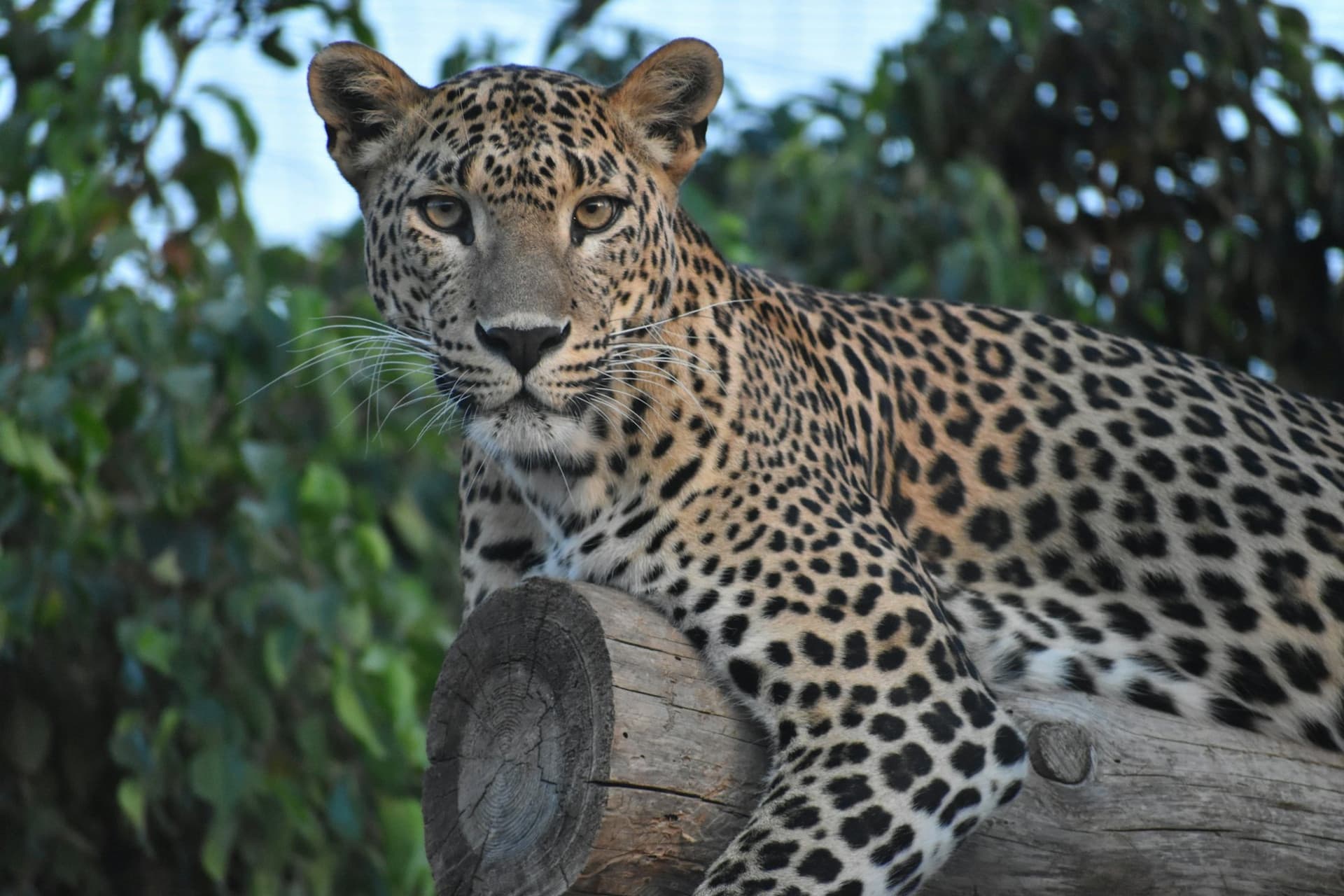 Terra Natura Murcia Ticket - სურათი 3