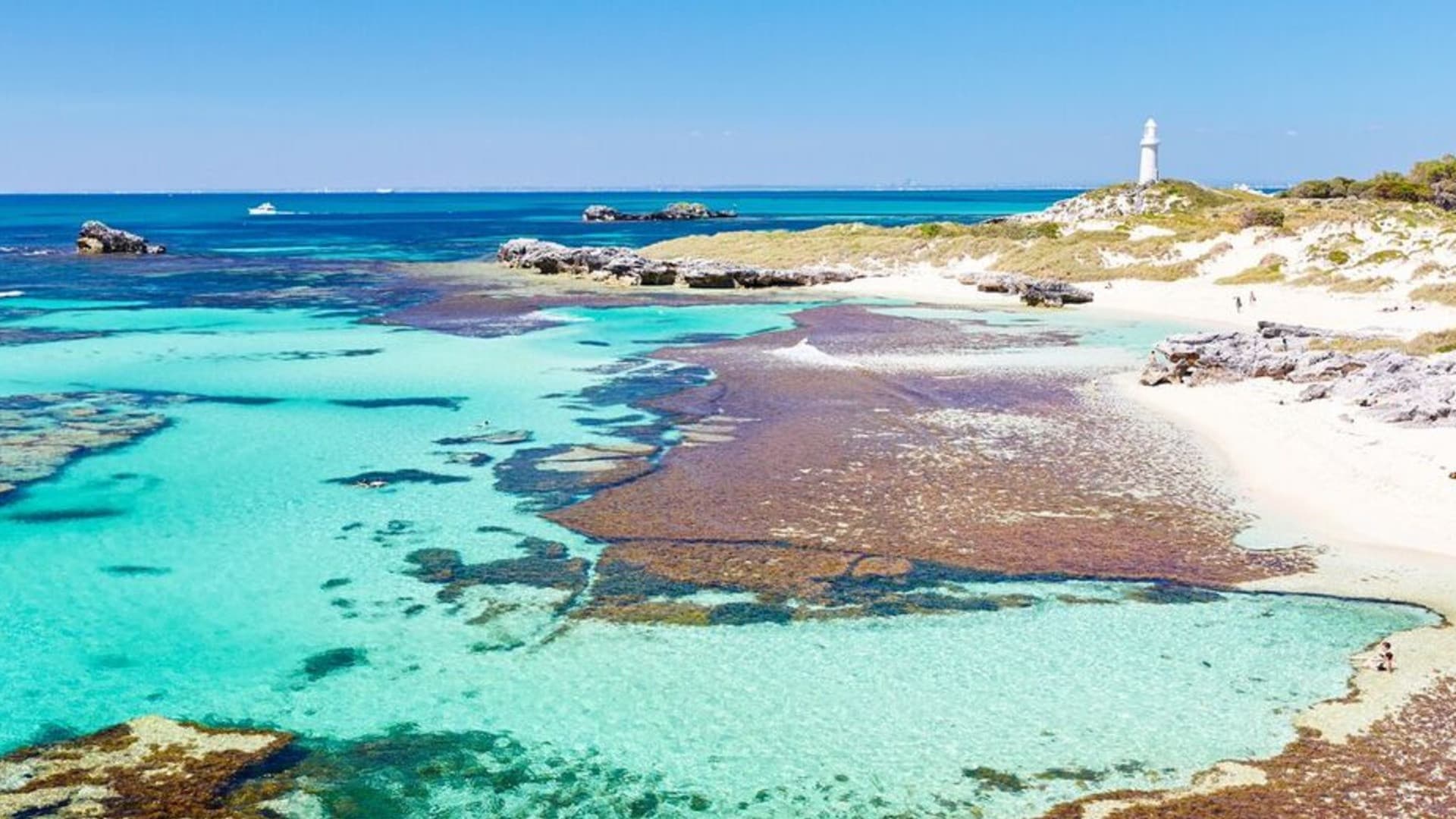 Rottnest Island Fortress Adventure Segway Tour with Round Trip SeaLink Ferry Transfer - სურათი 3