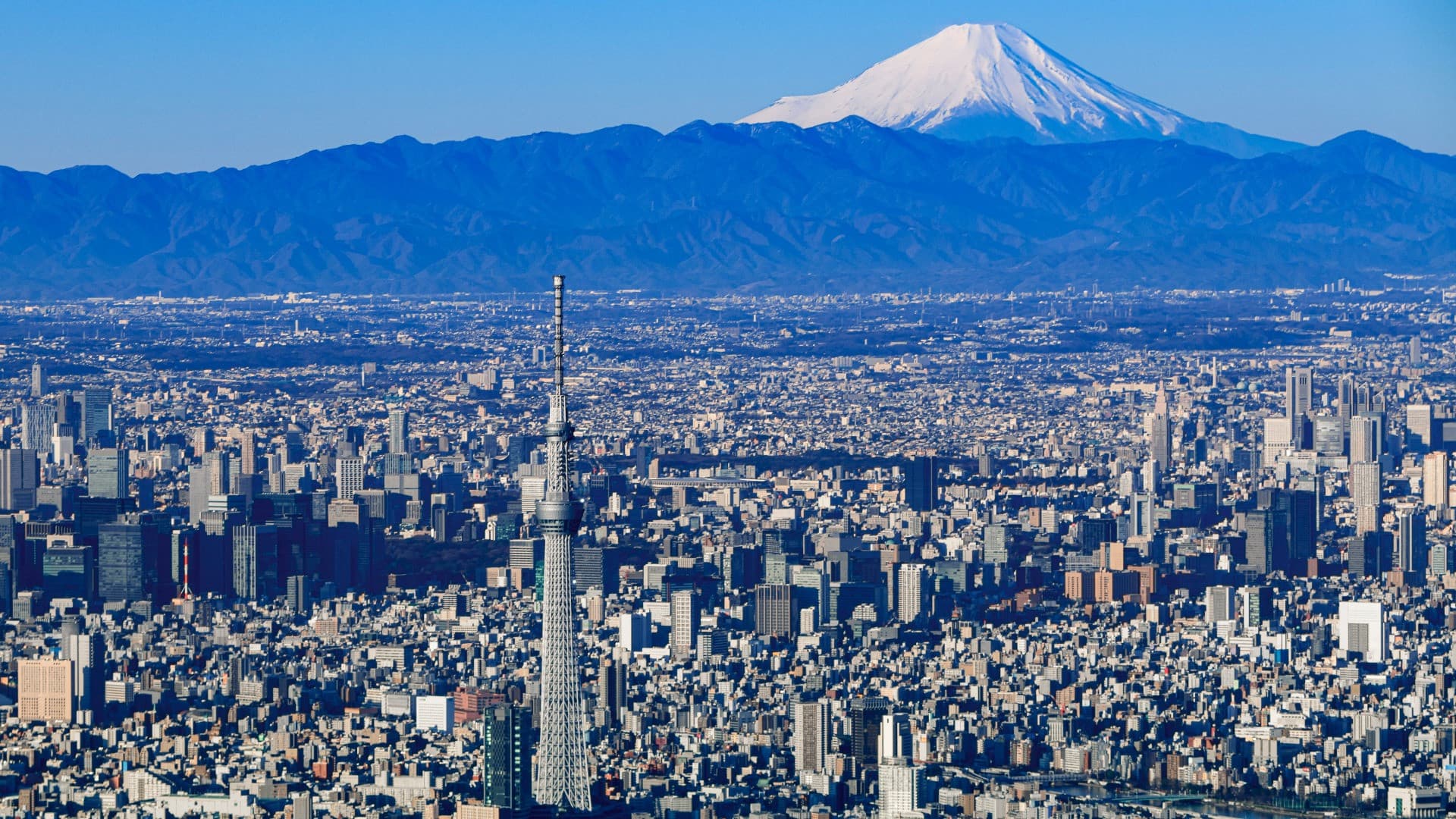Tokyo Skytree Observation Deck Ticket - სურათი 4