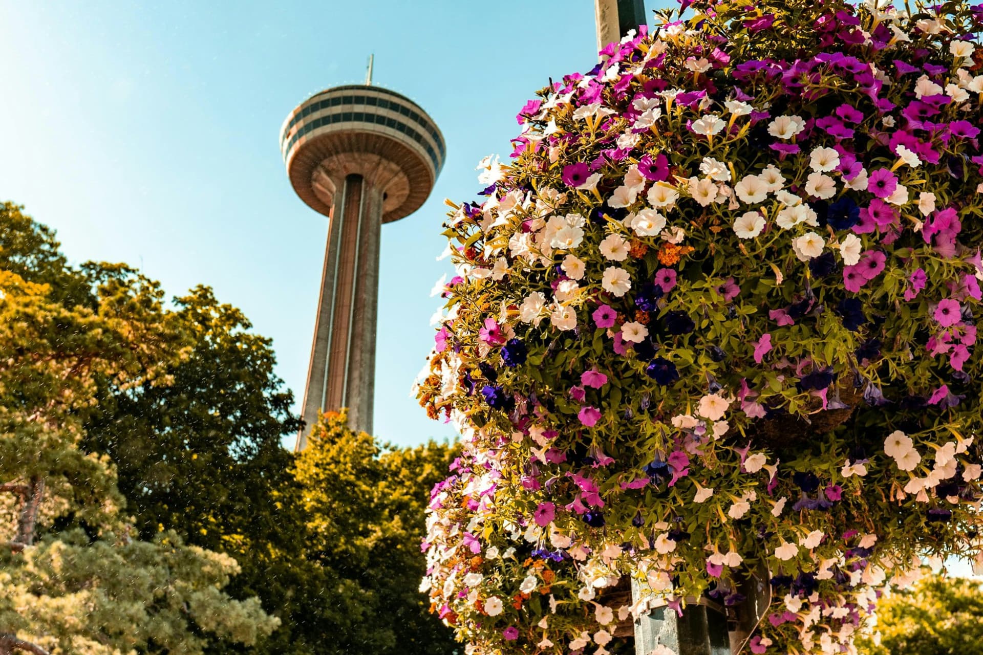 Niagara Falls(US & Canada): Guided Tour with Boat Cruise, Cave of the Winds & Skylon Tower - მთავარი სურათი