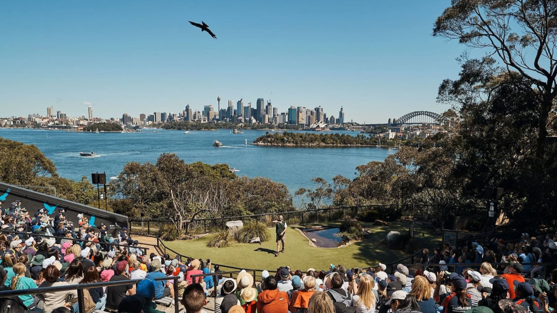 Taronga Zoo Ticket with Optional Round Trip Ferry - სურათი 2