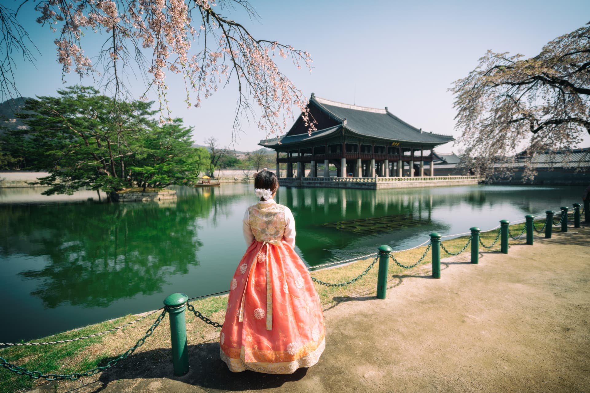 Professional Photo Shoot in Seoul - სურათი 3