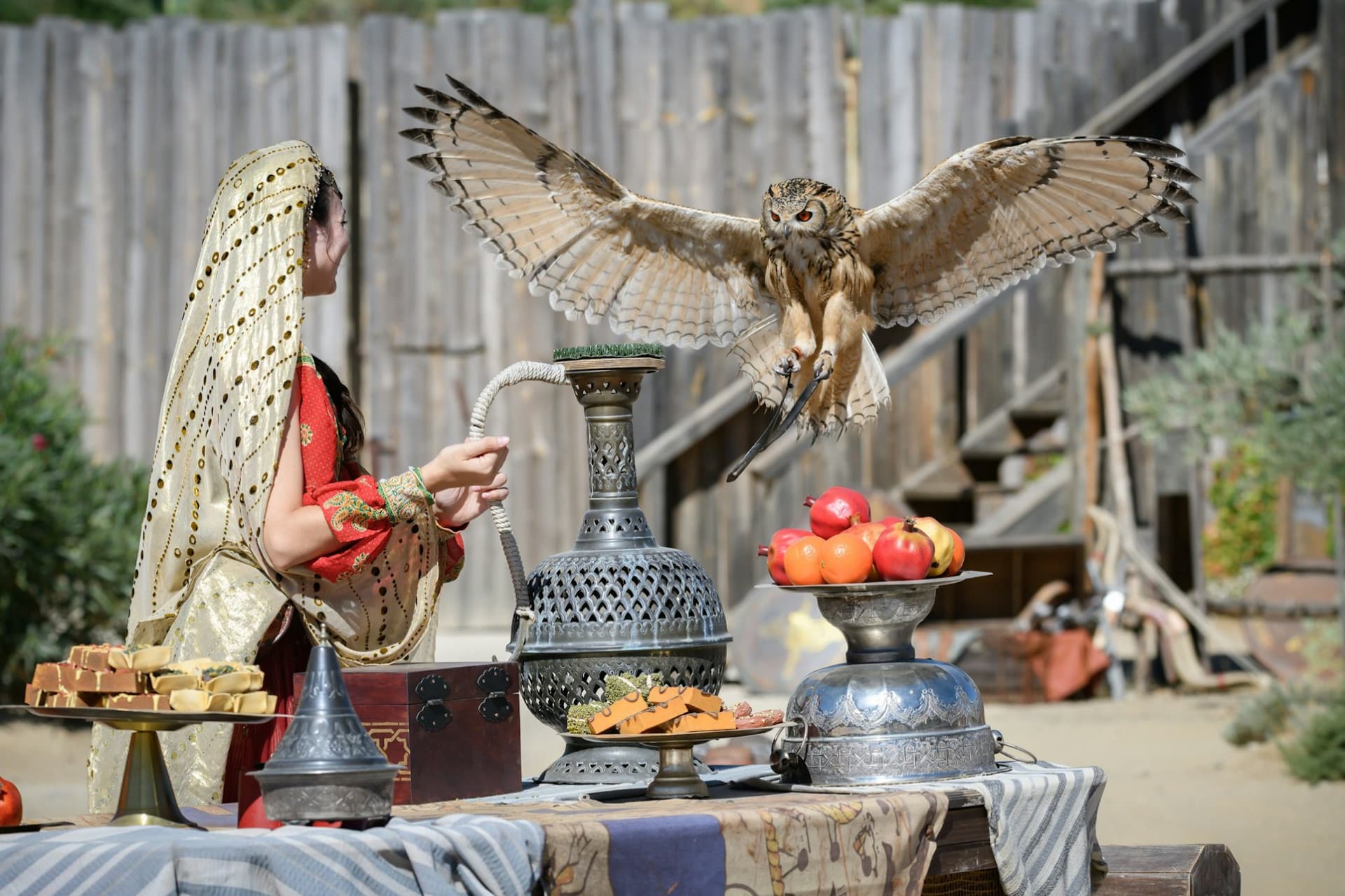 Puy du Fou España Ticket - სურათი 5