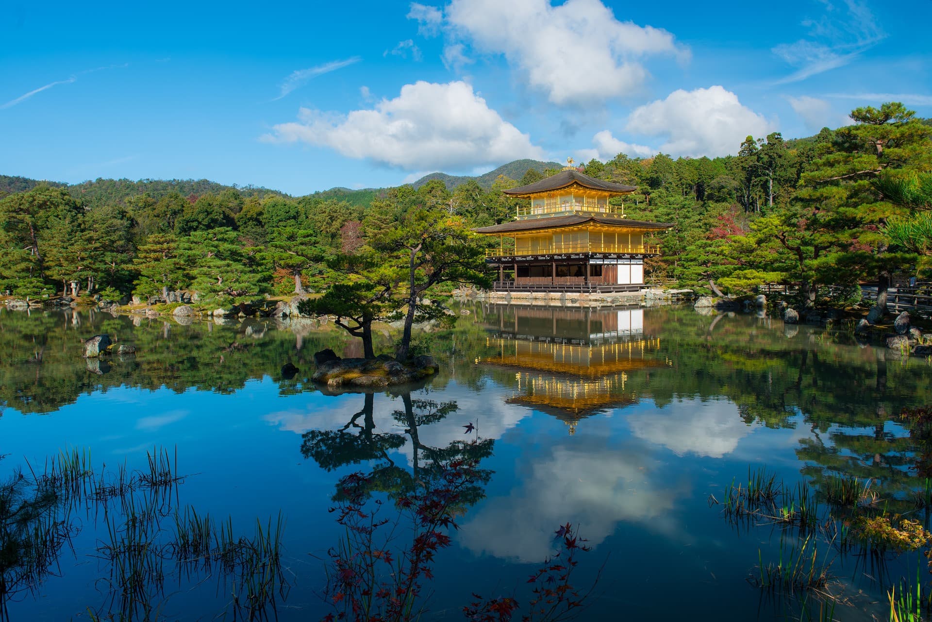 Kyoto and Nara Tour from Osaka - სურათი 5