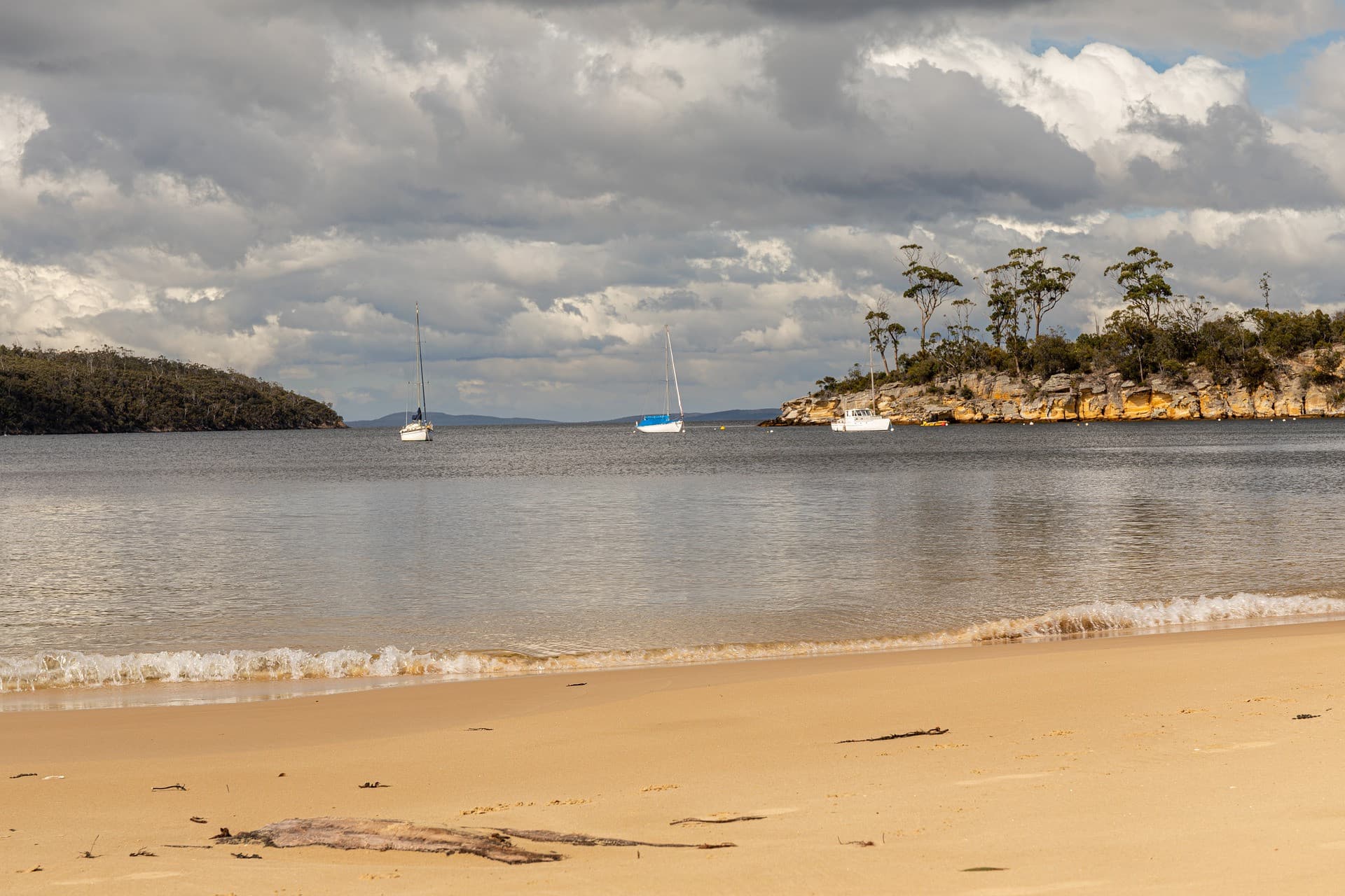 Hobart City Explorer Tour - სურათი 6