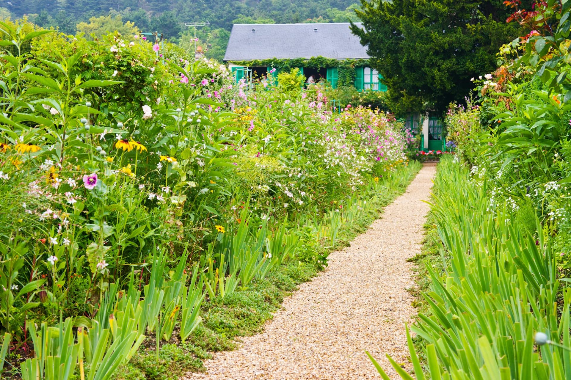 Giverny: Impressionist Day Trip from Paris with Audio Guide - სურათი 12
