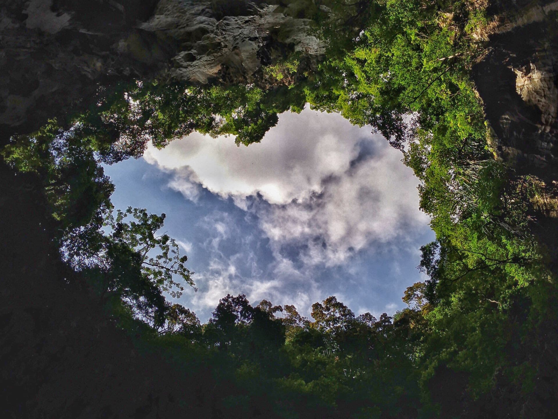 Batu Caves and Kuala Lumpur Countryside Tour - სურათი 7