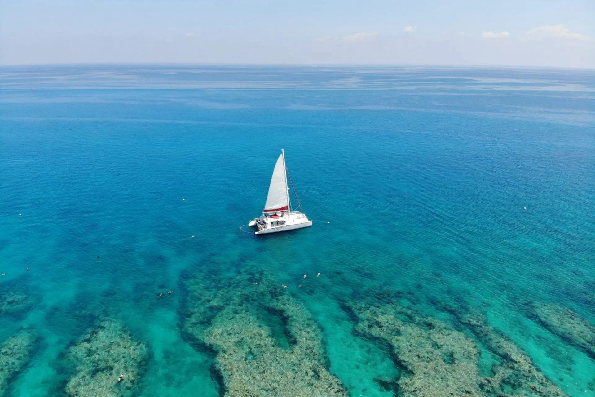 Key West: 3hr Snorkeling Experience with Unlimited Drinks - სურათი 5