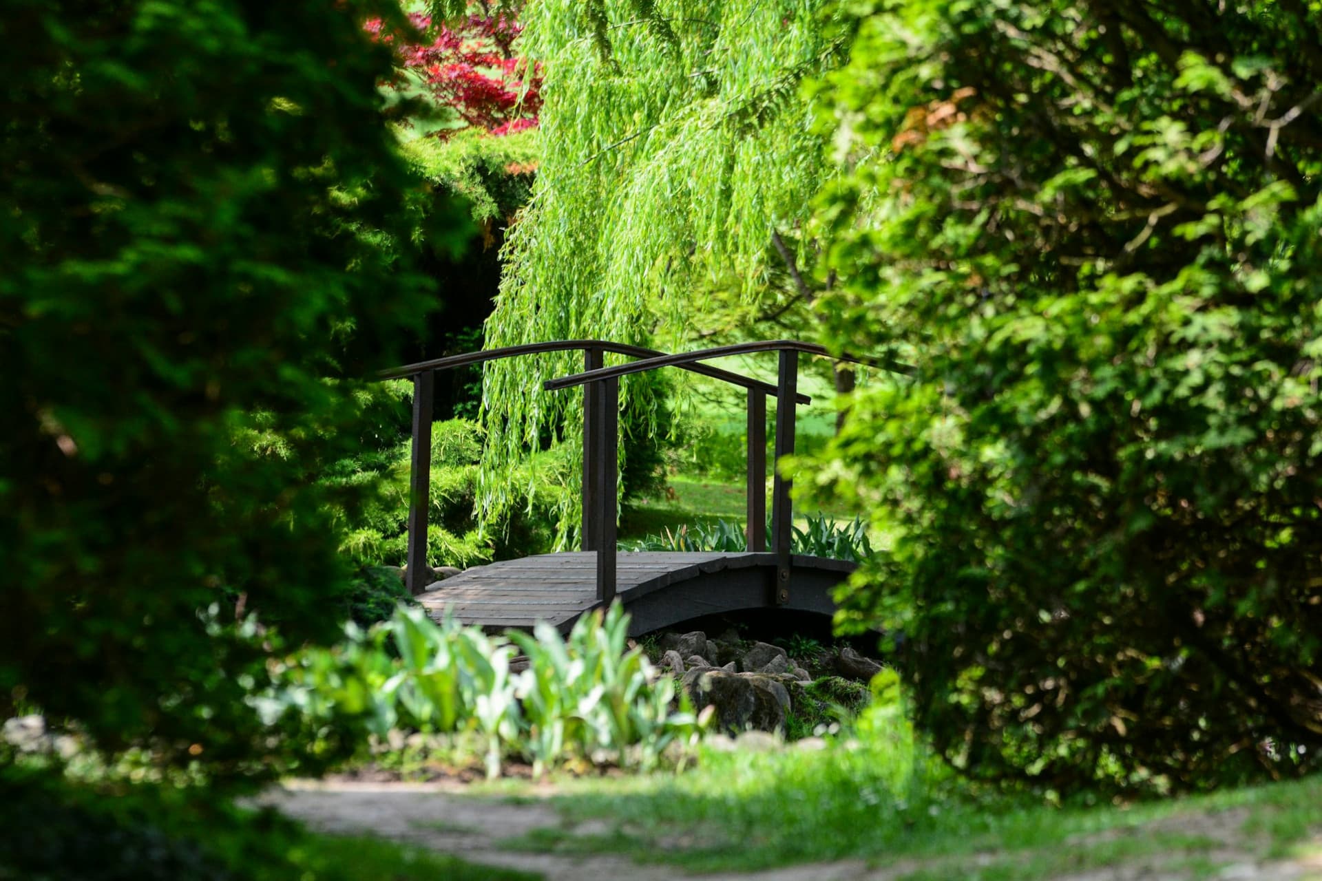 Parco Giardino Sigurtà Ticket - სურათი 6