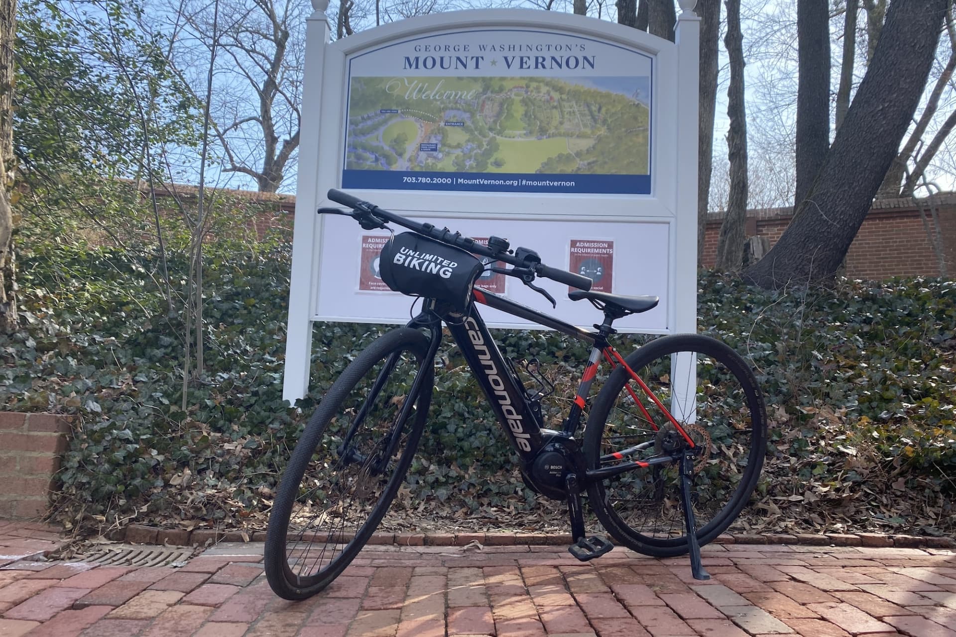 Washington DC Bike Rental at Old Town Alexandria - სურათი 7