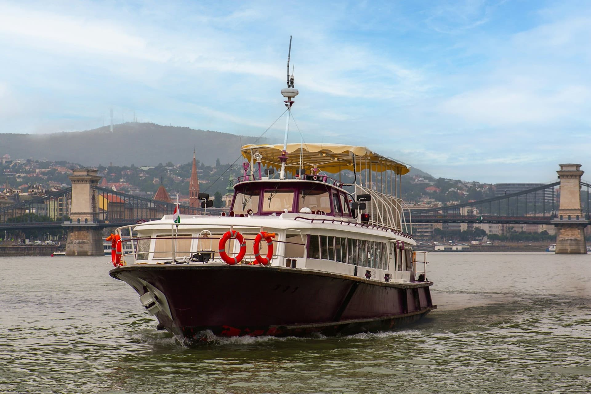 Downtown Budapest Sightseeing Cruise From Pest - სურათი 3