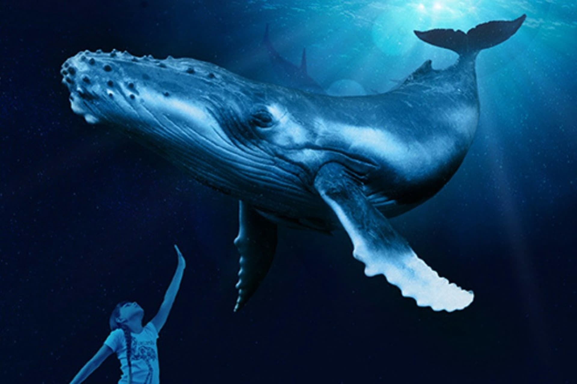 Palma Aquarium: Skip The Line Ticket + Optional 3D Cinema Aquadome - სურათი 3