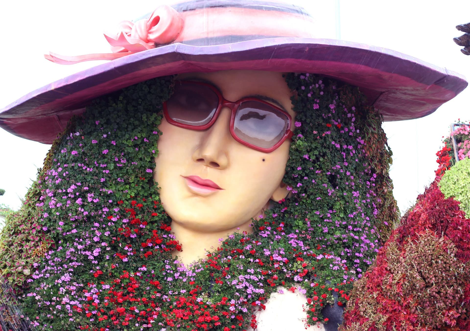 Dubai Miracle Garden Ticket - სურათი 9