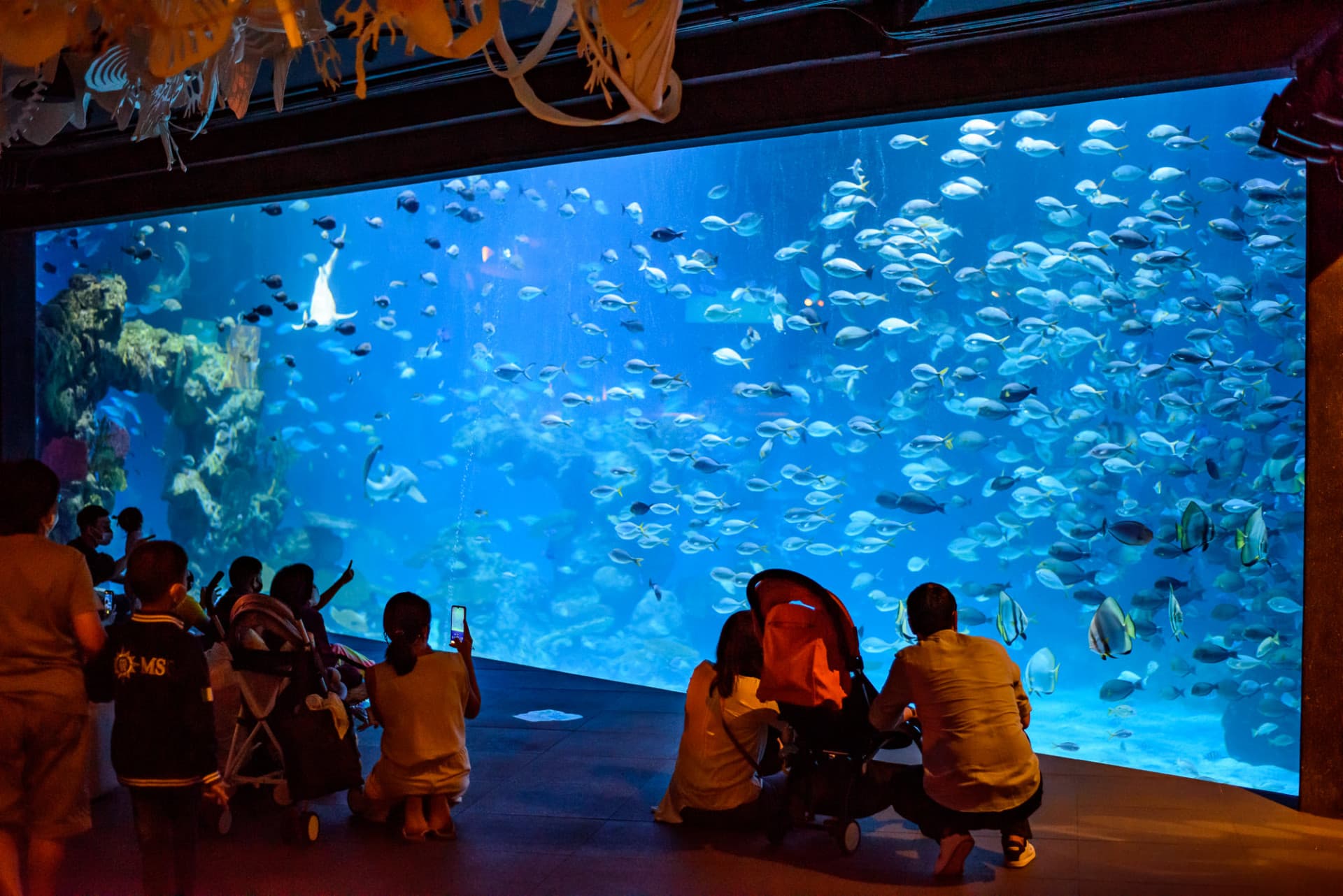 Aquaria Phuket - სურათი 3