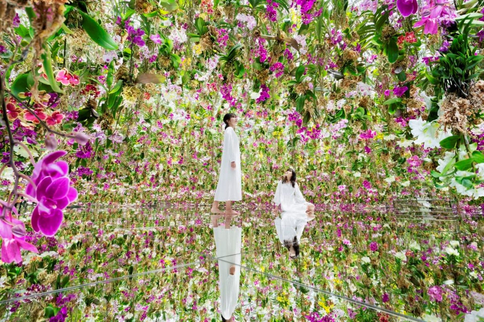 COMBO: Tokyo Skytree + teamLab Planets TOKYO Tickets - სურათი 6