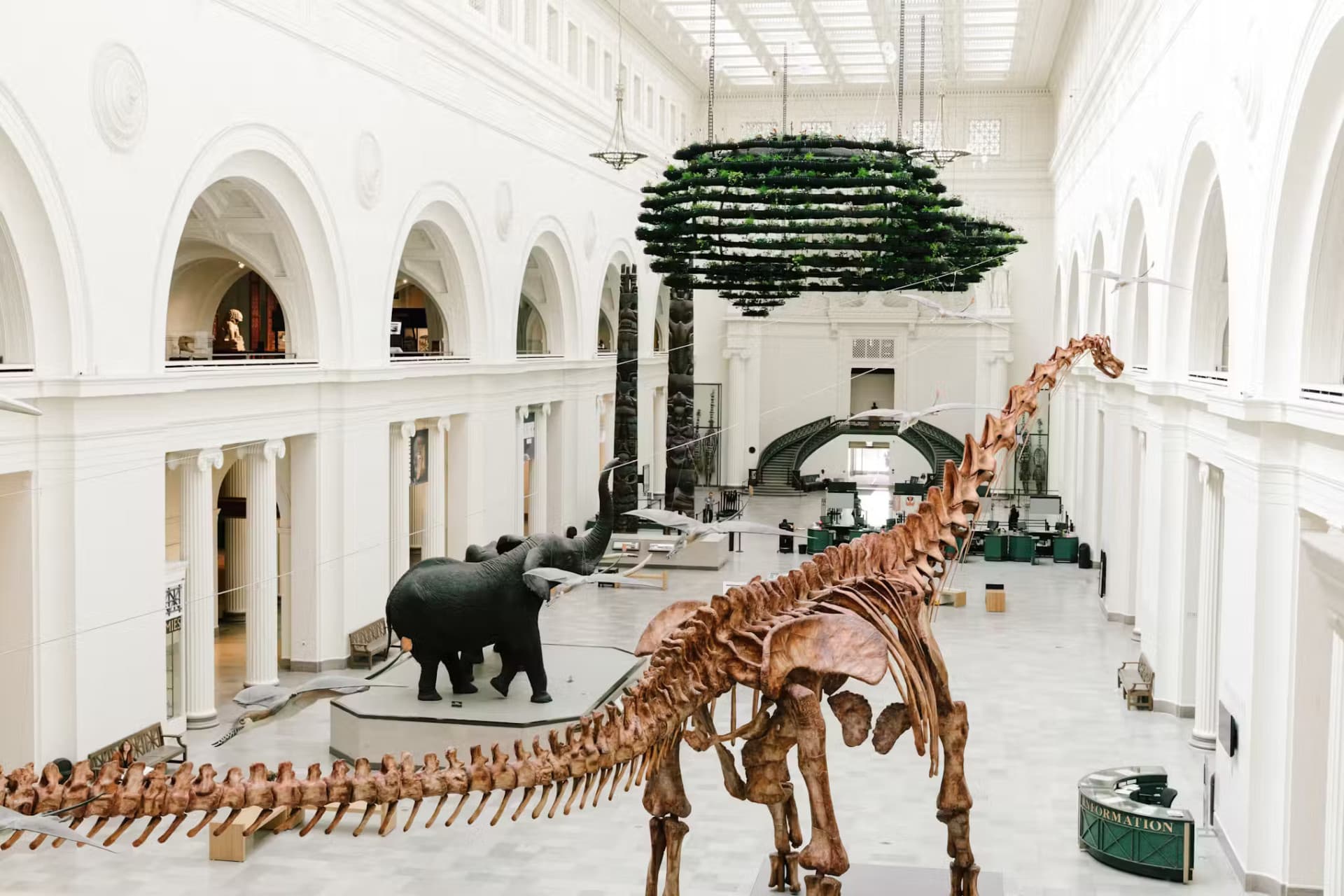 Chicago CityPASS: Admission to 5 Top Attractions - სურათი 4