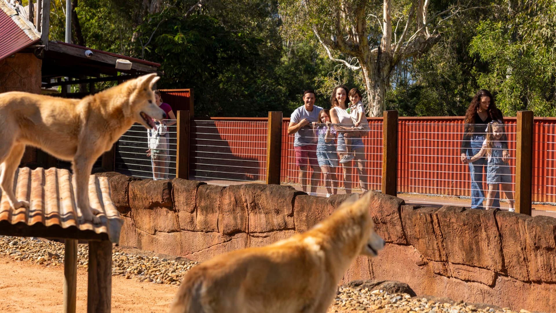 Dreamworld, WhiteWater World, and SkyPoint Gold Coast Multi-day Ticket - სურათი 7