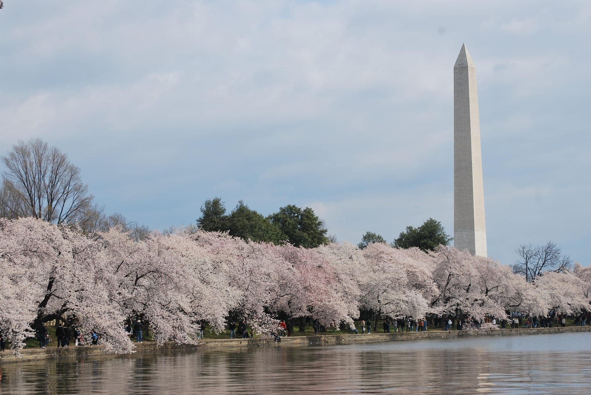 Washington Monument Ticket + Optional Guided Tour - სურათი 6