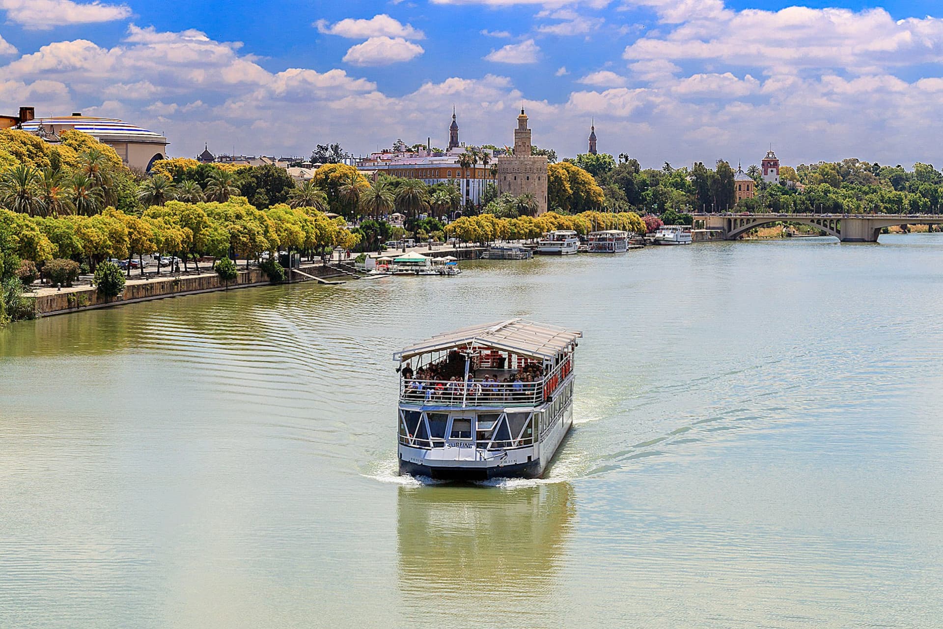Seville: Sightseeing Cruise from Torre Del Oro - სურათი 3
