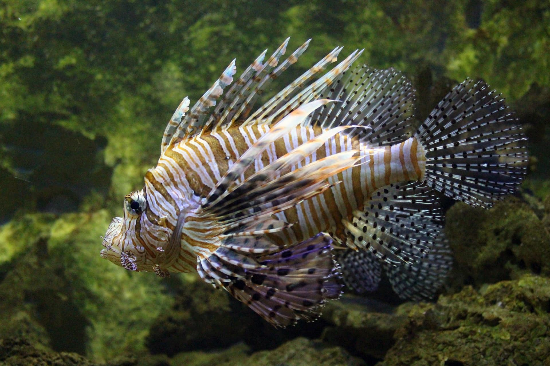 Yehliu Ocean World - სურათი 13