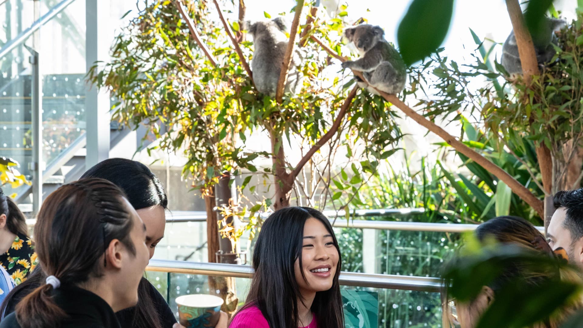 Breakfast with the Koalas at WILD LIFE SYDNEY - სურათი 4