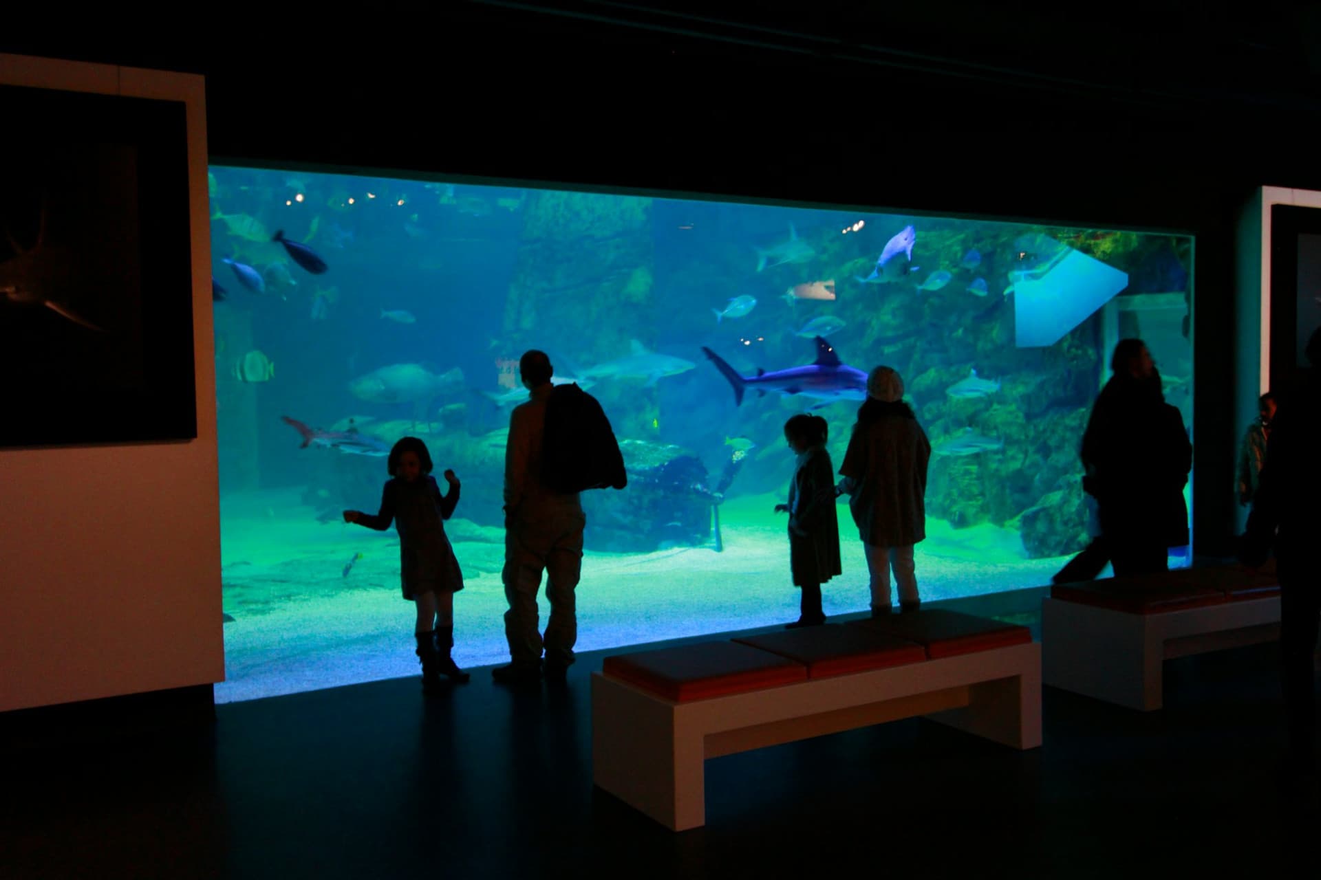Seaquarium Le Grau-du-Roi Ticket - სურათი 9