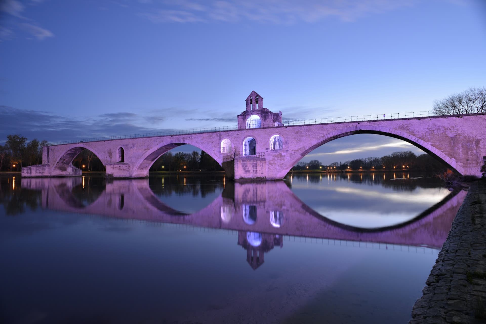 Palace of the Popes and Pont d’Avignon Ticket - სურათი 3