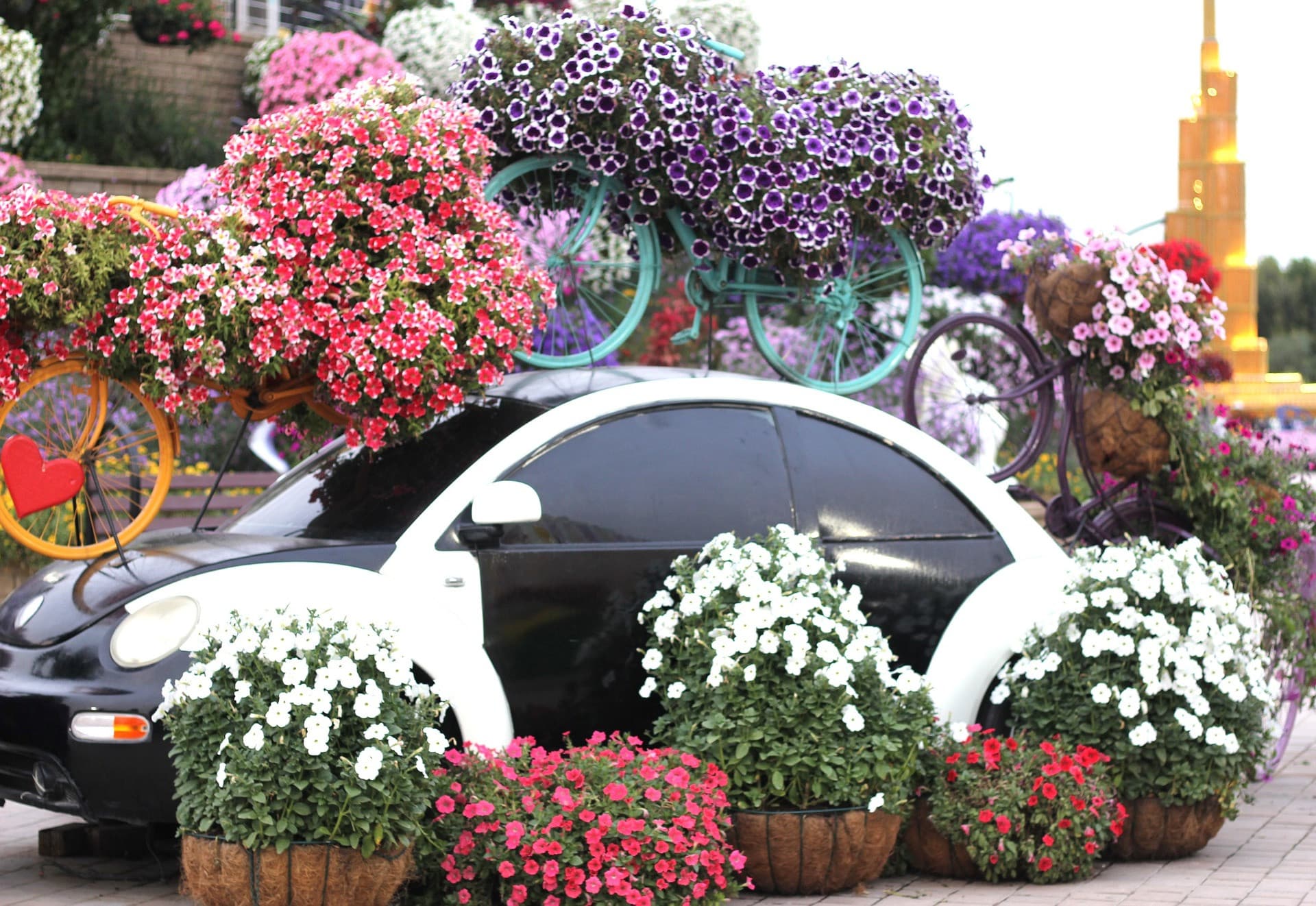 Dubai Miracle Garden Ticket - სურათი 11