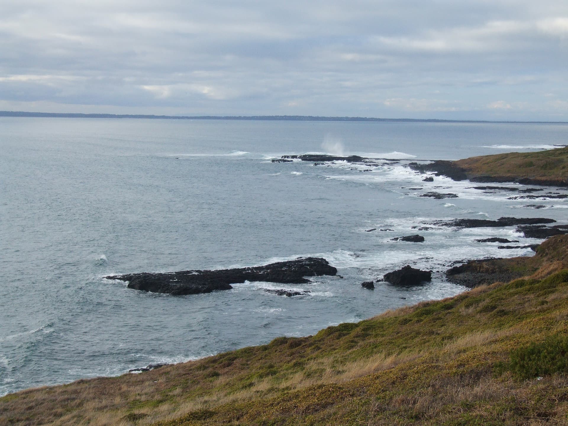 Phillip Island Nature Parks - Penguin Parade Ticket - სურათი 11