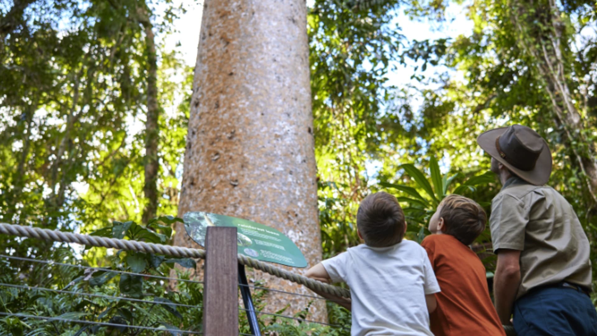 Skyrail Rainforest Cableway with Optional Kuranda Scenic Train Ticket and Hotel Pick-Up - სურათი 10