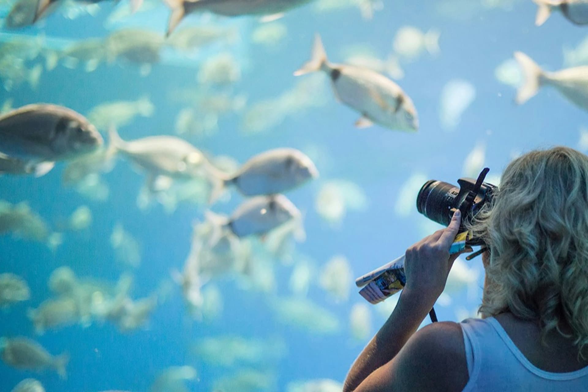 Palma Aquarium: Skip The Line Ticket + Optional 3D Cinema Aquadome - სურათი 8