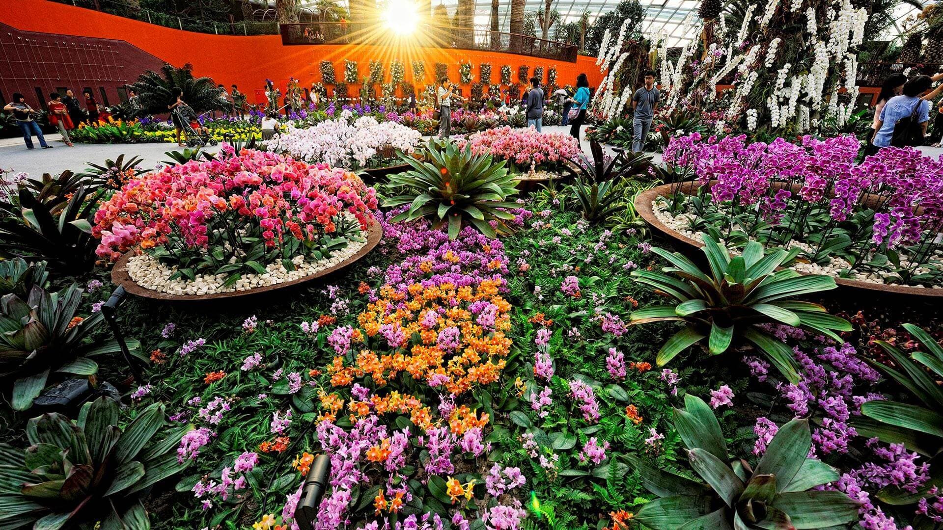 IMBA Theatre Ticket at Gardens by the Bay - სურათი 7