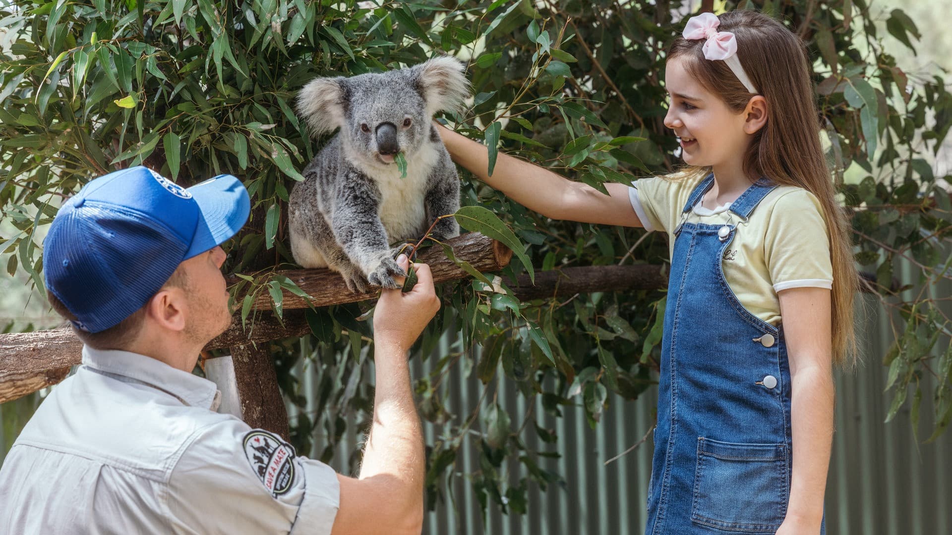 Gold Coast Warner Bros. Movie World, Sea World, Paradise Country and Wet'n'Wild Multiday Pass - სურათი 22