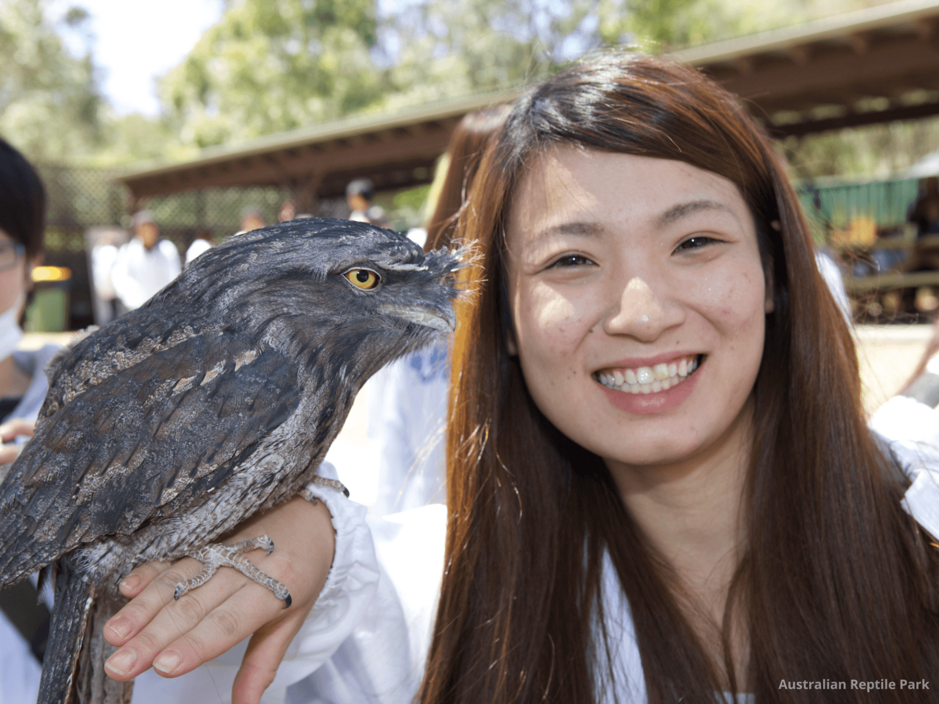 Australian Reptile Park - სურათი 42