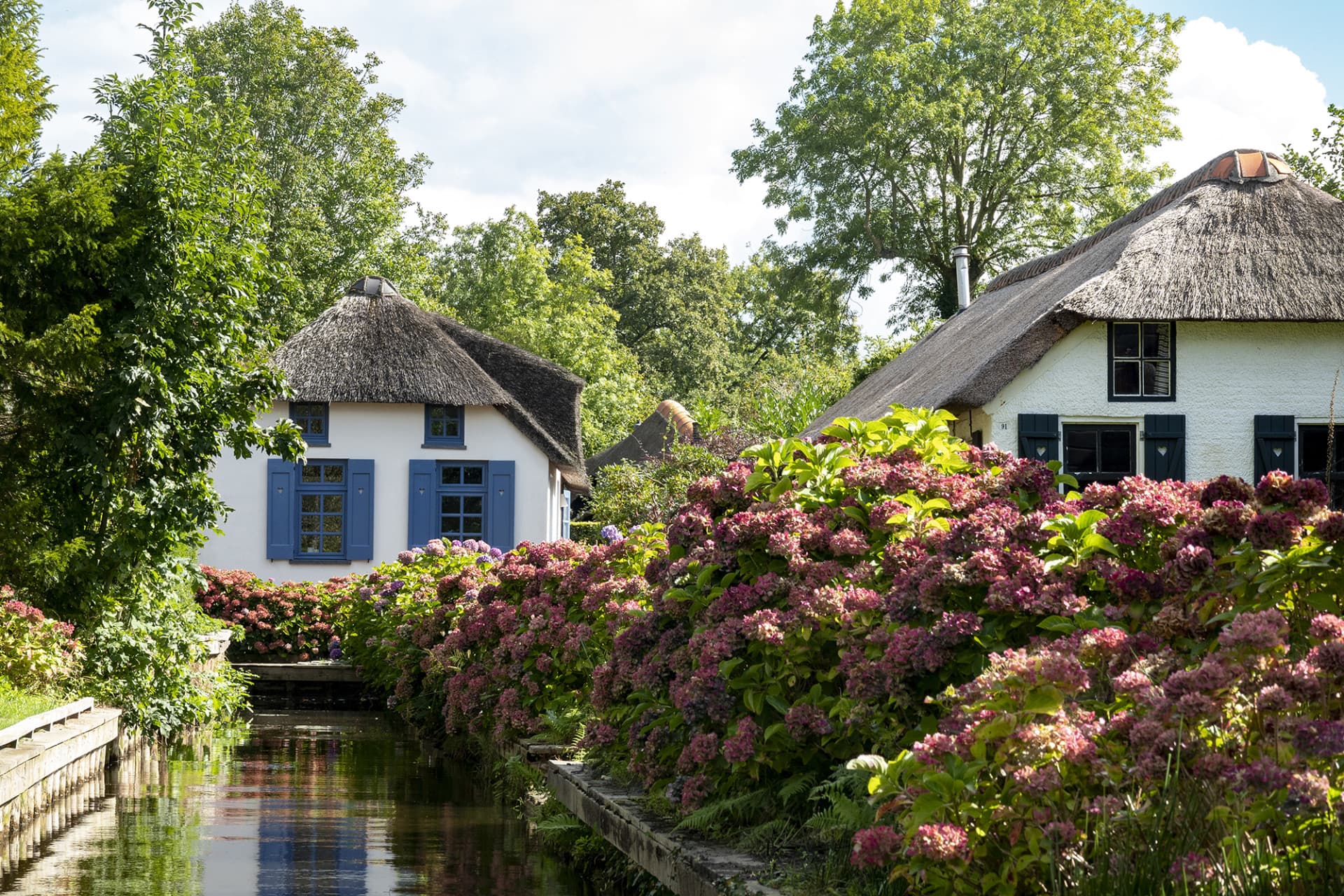 Giethoorn Full-Day Tour from Amsterdam with Canal Cruise and Self-Guided Walking Tour - სურათი 11