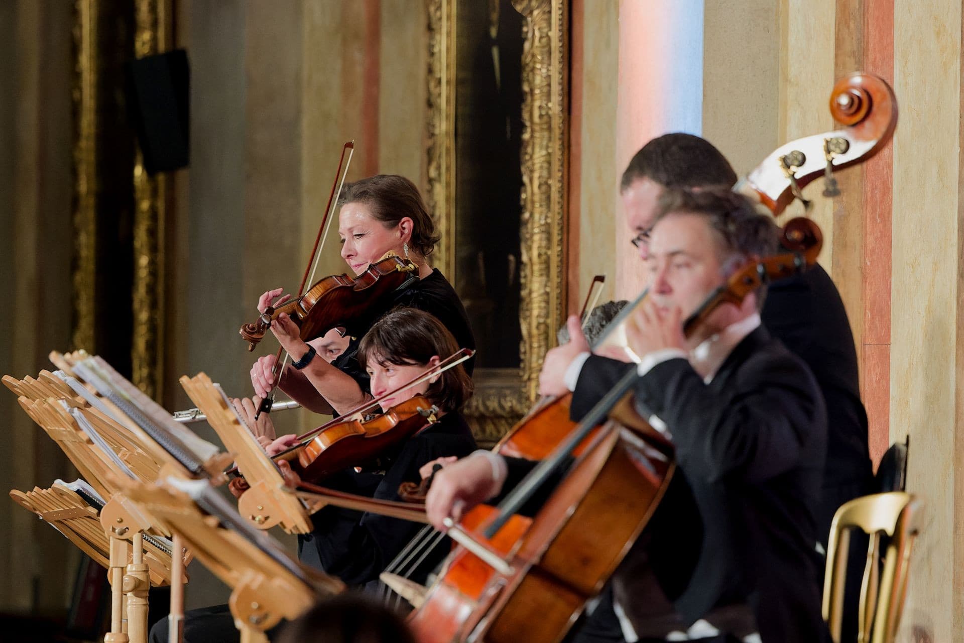 Vienna Residence Orchestra at Borse Palace Ticket - სურათი 5