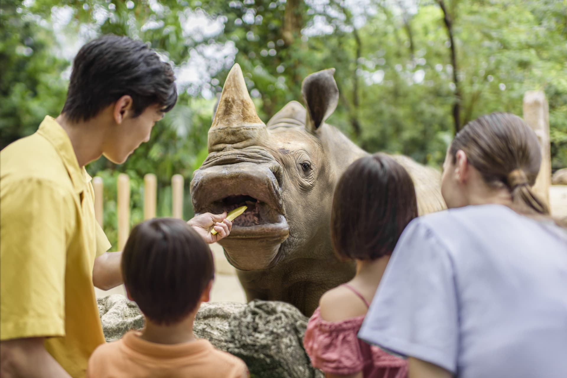 Mandai Destination Pass: Visit Up to 6 Attractions in 1 or 5 Days - სურათი 6