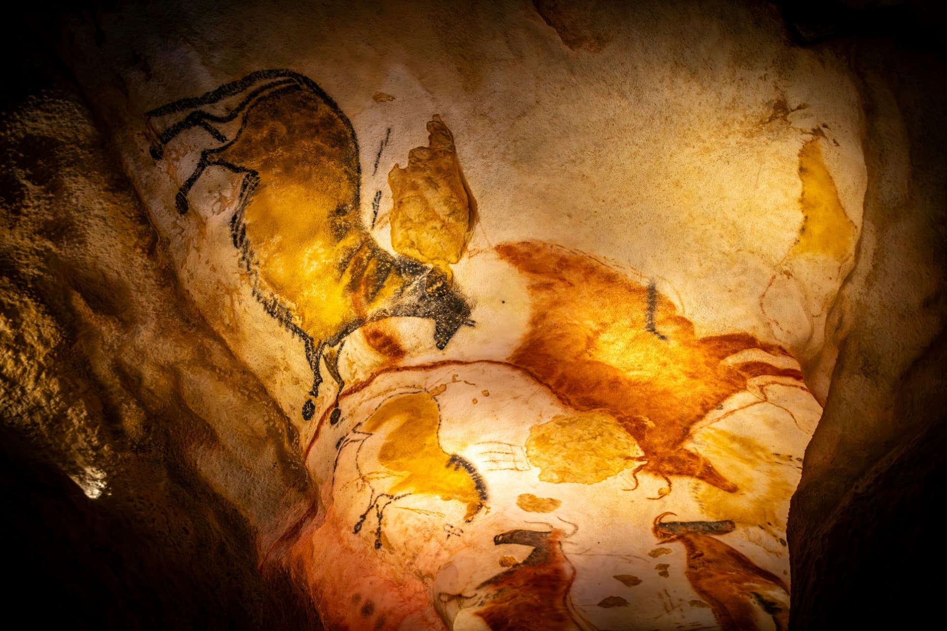 Lascaux IV : Admission + Guided tour - სურათი 2