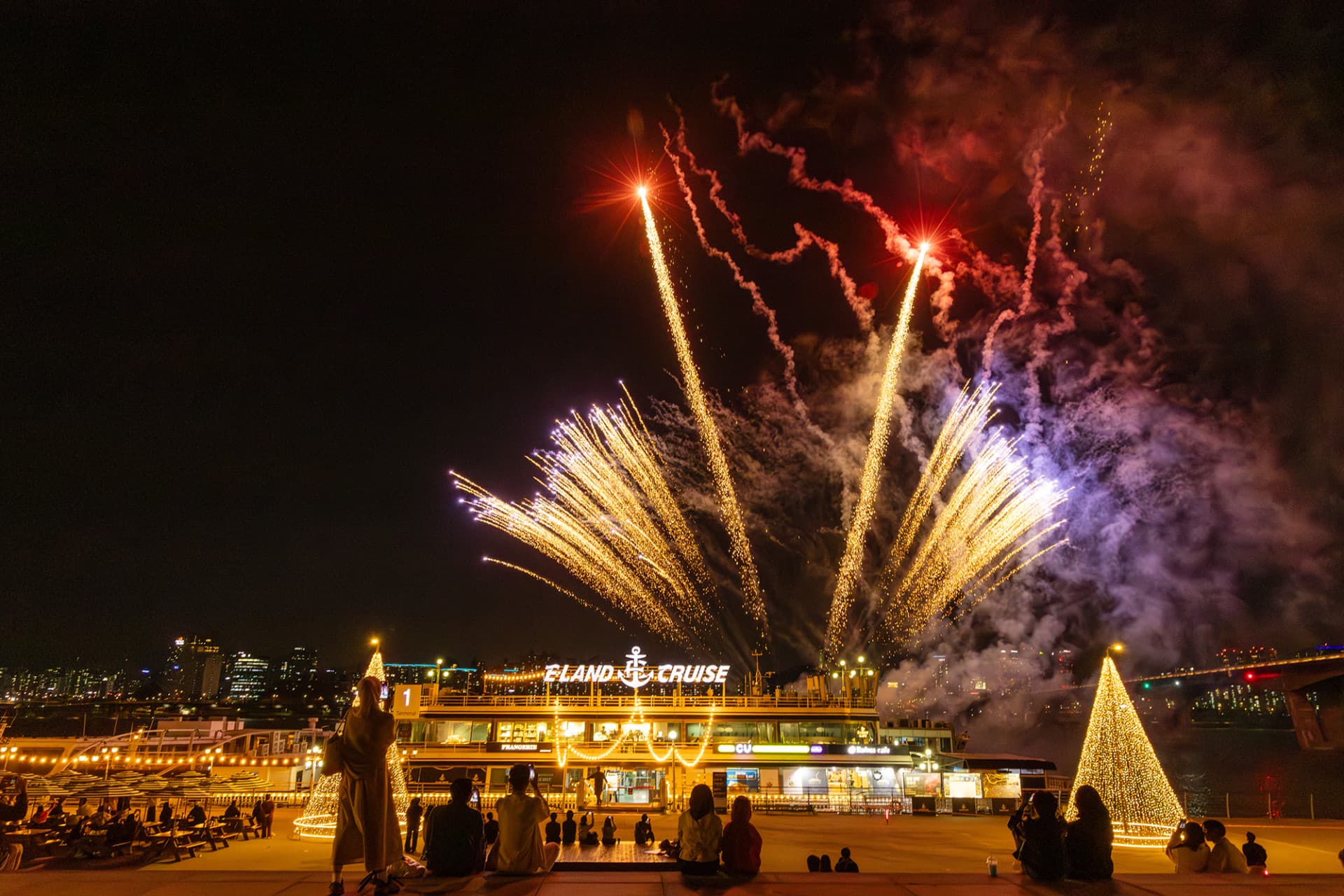 Han River Eland Cruise - სურათი 8