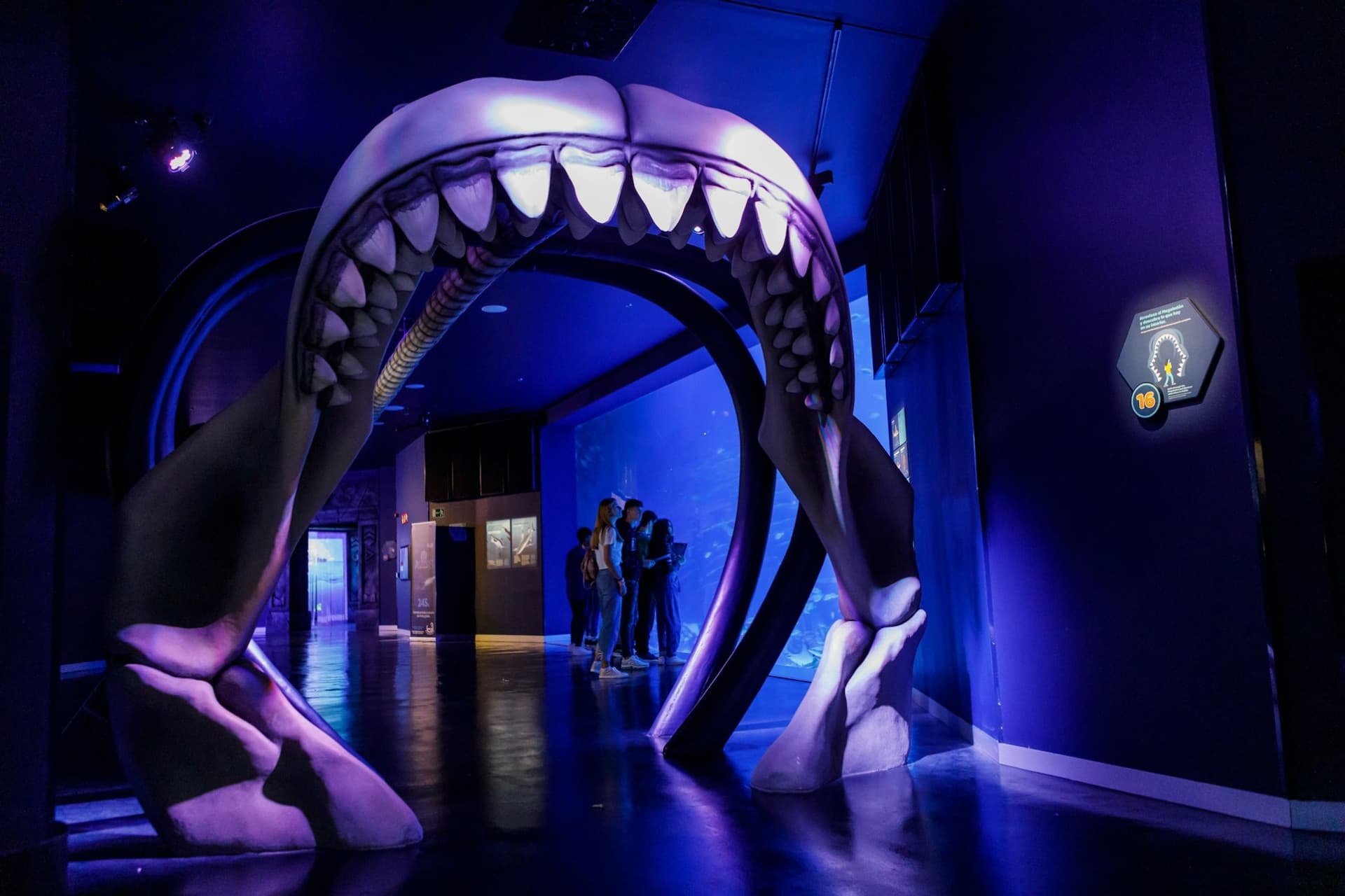 Atlantis Aquarium Madrid Ticket - სურათი 5