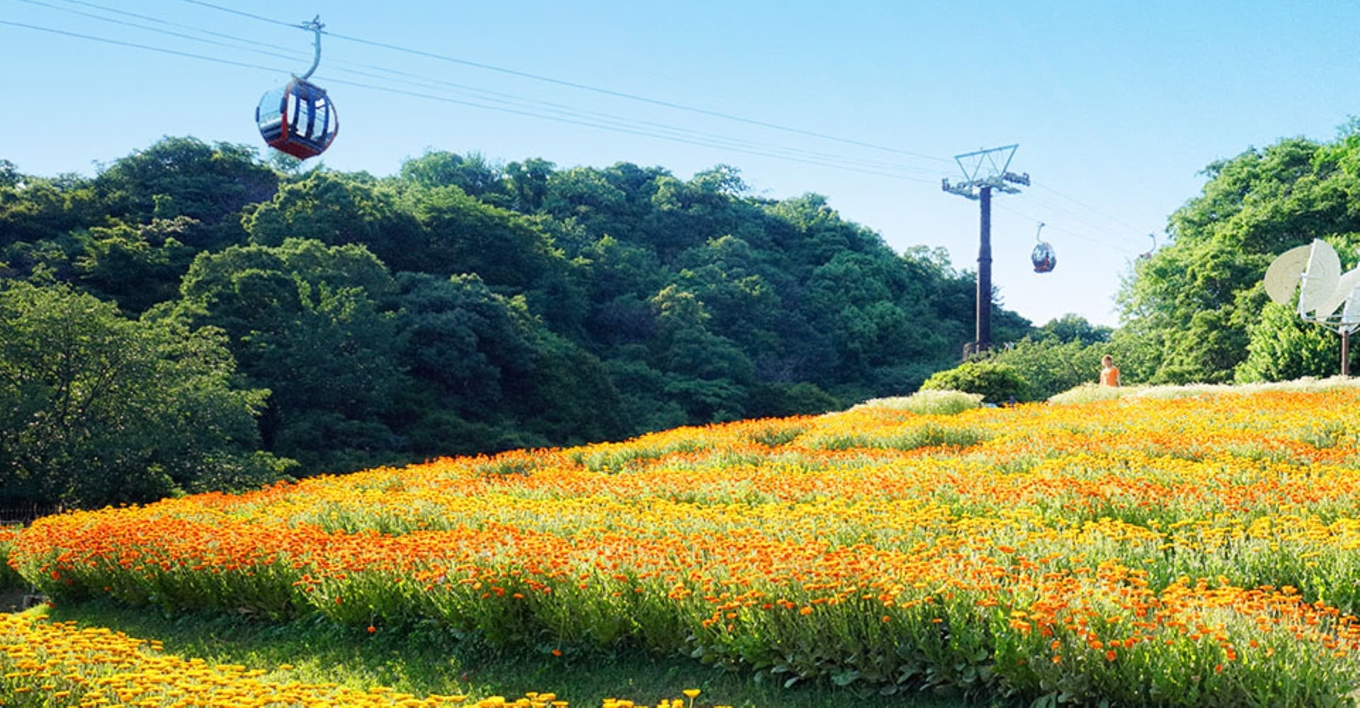 Kobe Nunobiki Herb Gardens and Ropeway Cable Car - მთავარი სურათი