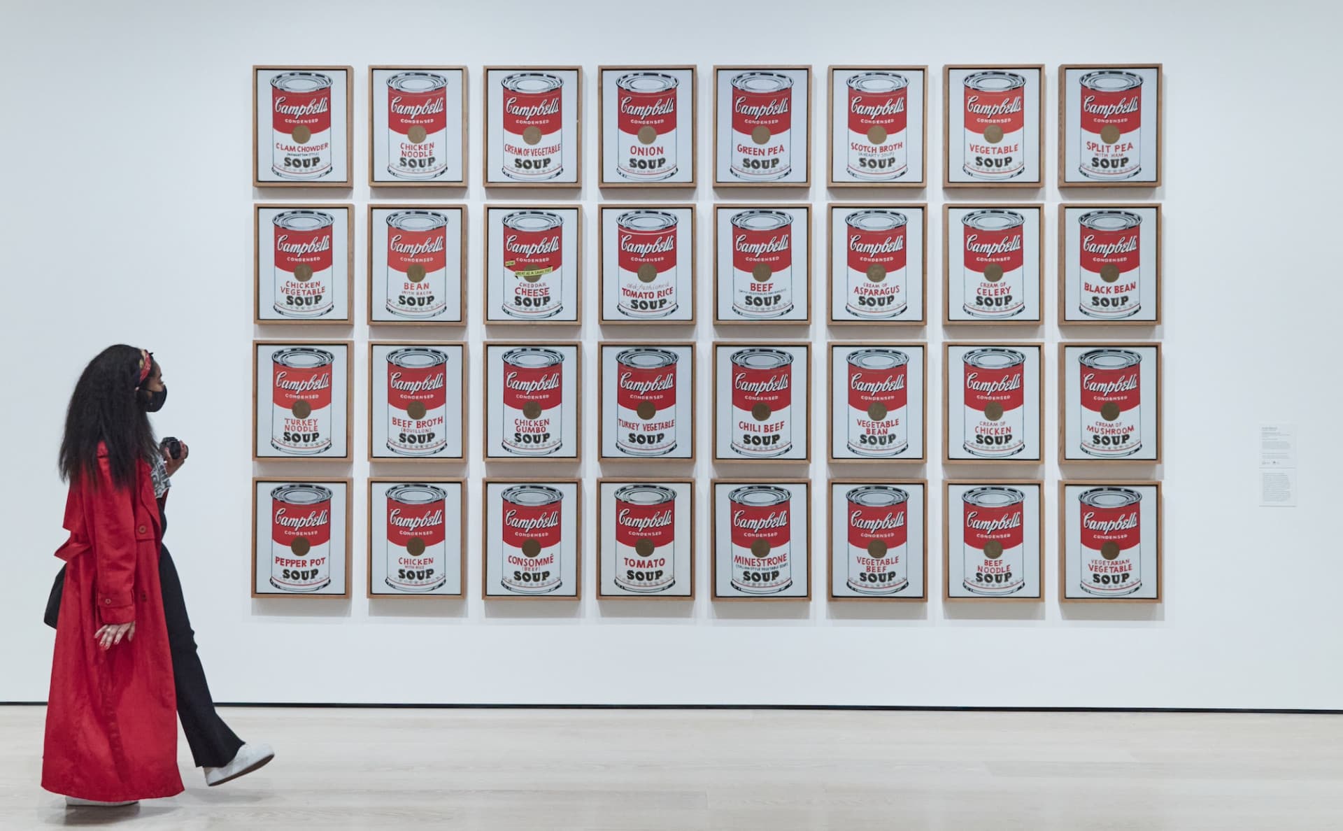 The Museum of Modern Art (MoMA) Admission - სურათი 7
