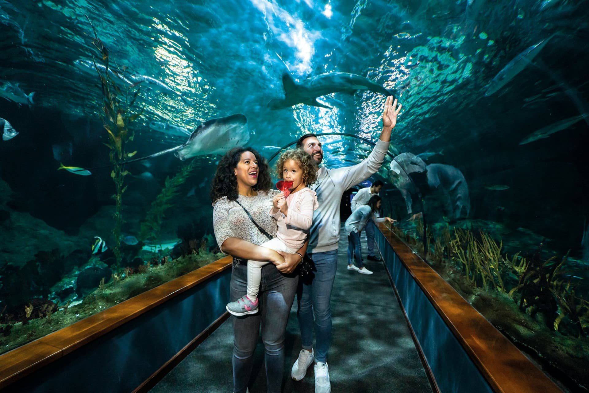 Loro Parque Ticket - მთავარი სურათი