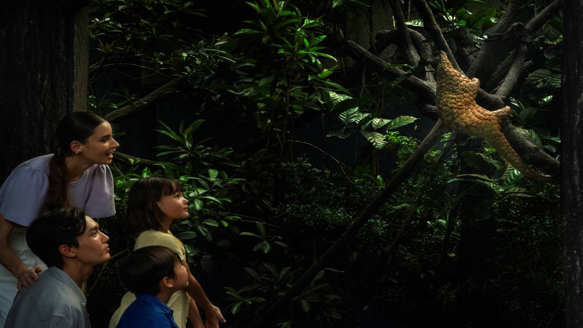 Singapore Night Safari Ticket - სურათი 8