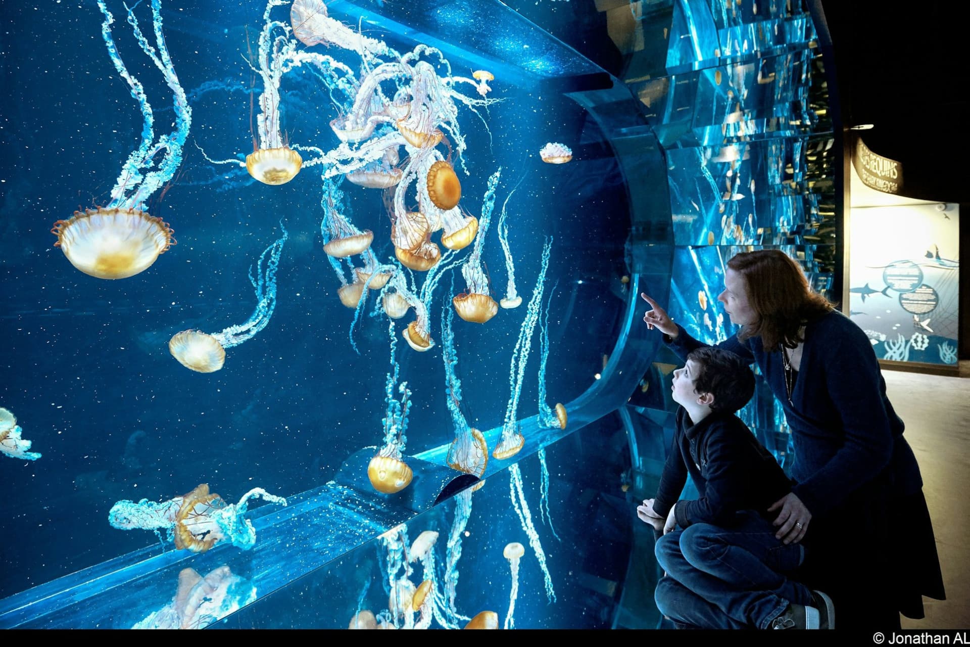 Nausicaa: Skip The Line Ticket - სურათი 8