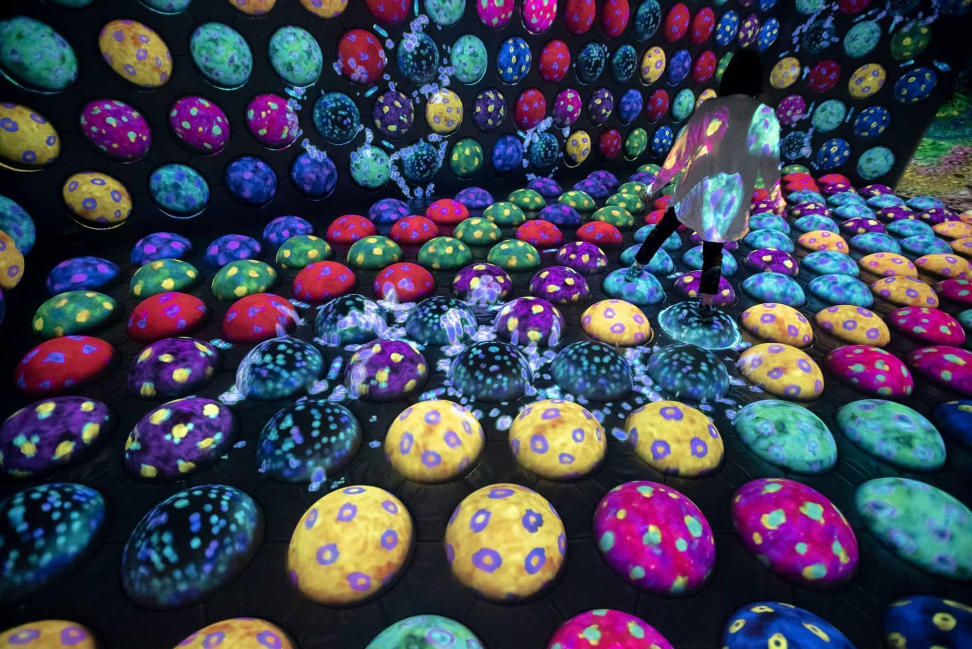 teamLab Forest Fukuoka - სურათი 9