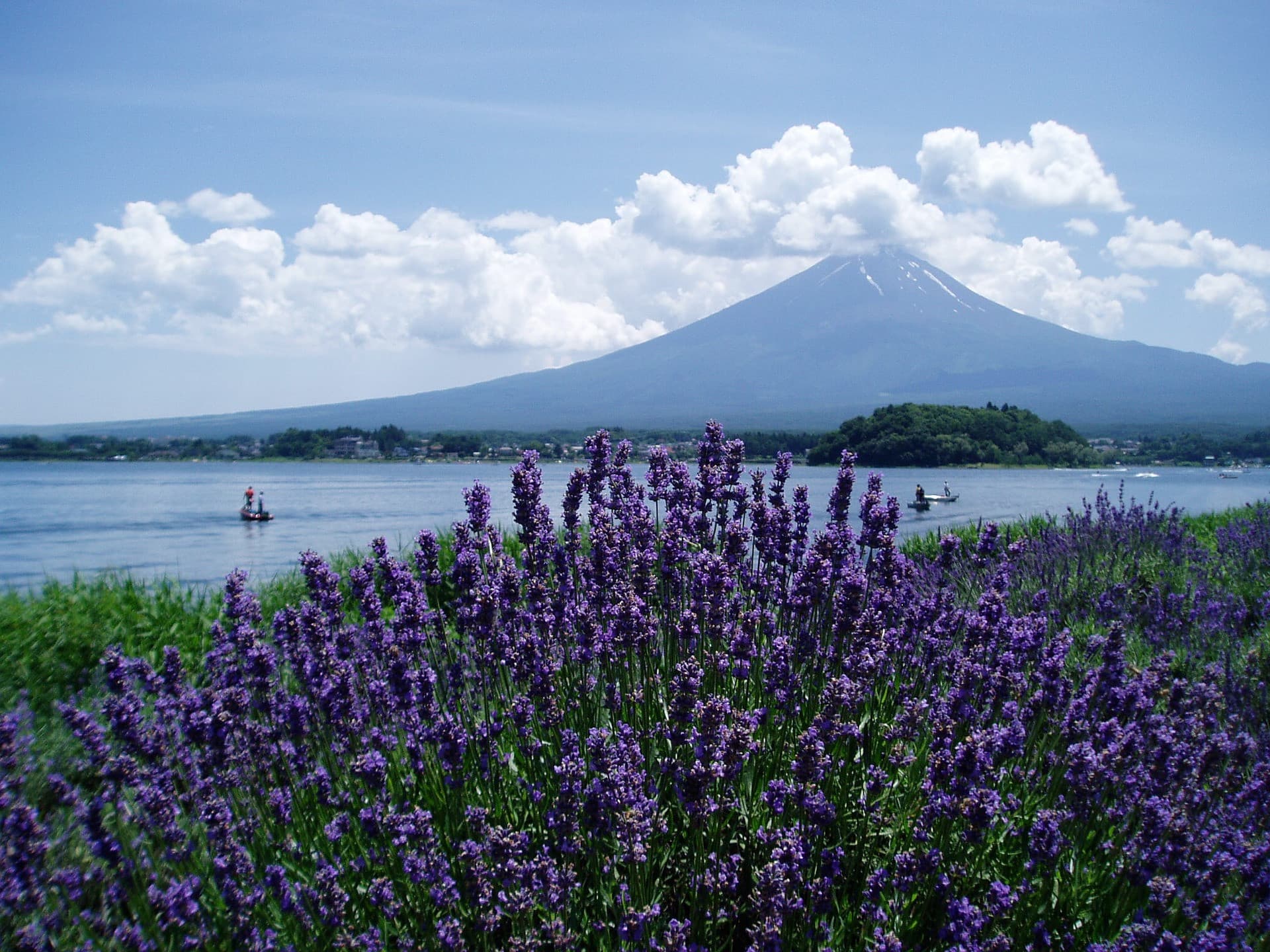 Mount Fuji and Oshino Hakkai Ole Hot Spring Full-Day Tour from Tokyo - მთავარი სურათი