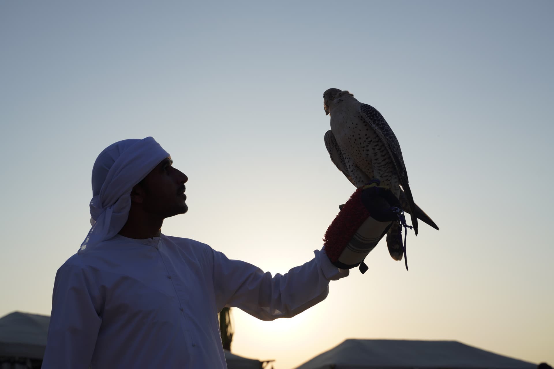 Dubai Red Dunes Desert Safari Tour with Camel Ride and Buffet Dinner at Al Khayma Camp - სურათი 10