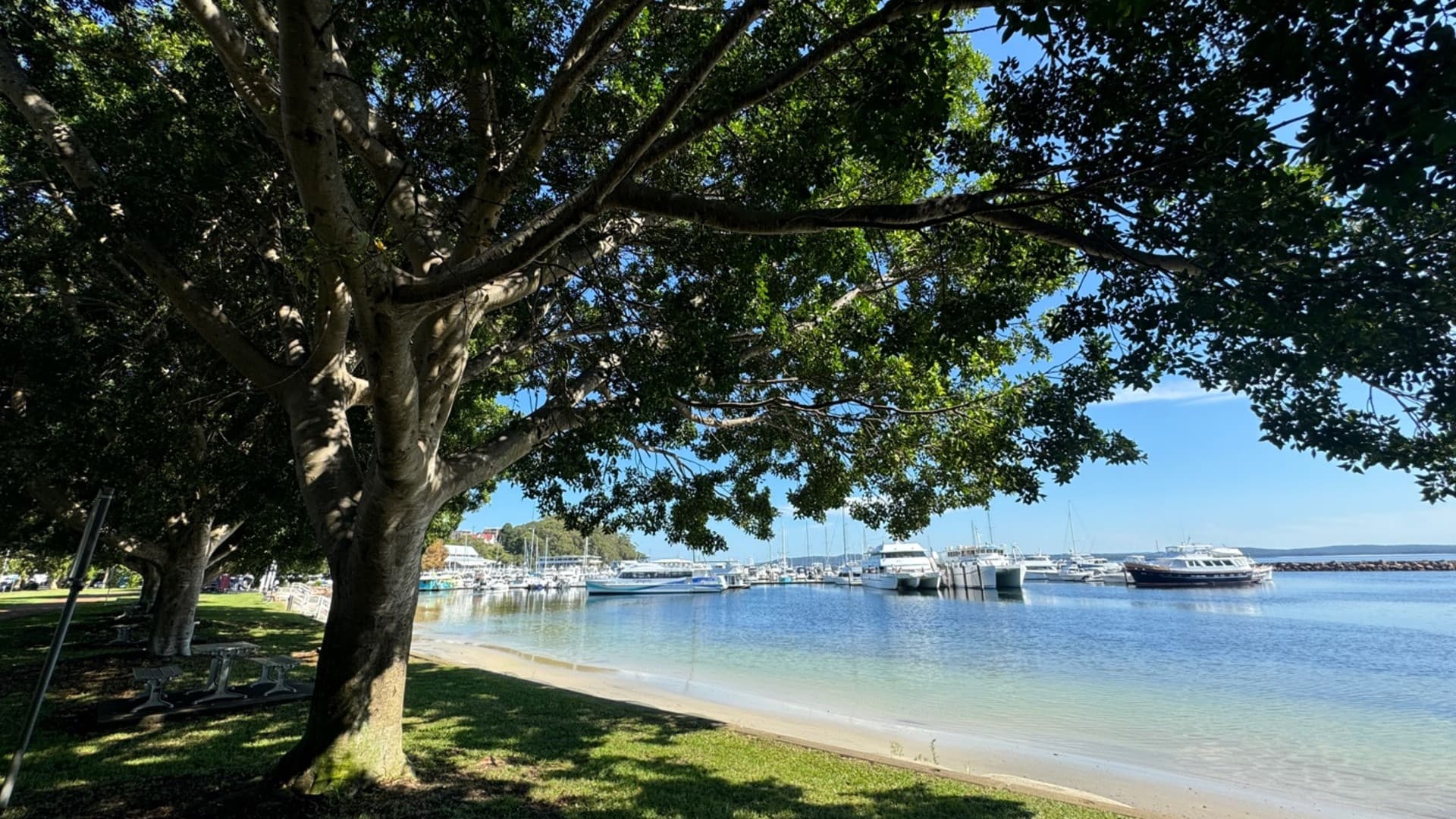 Port Stephens Tour with 4WD Ride and Sandboarding from Sydney - სურათი 4
