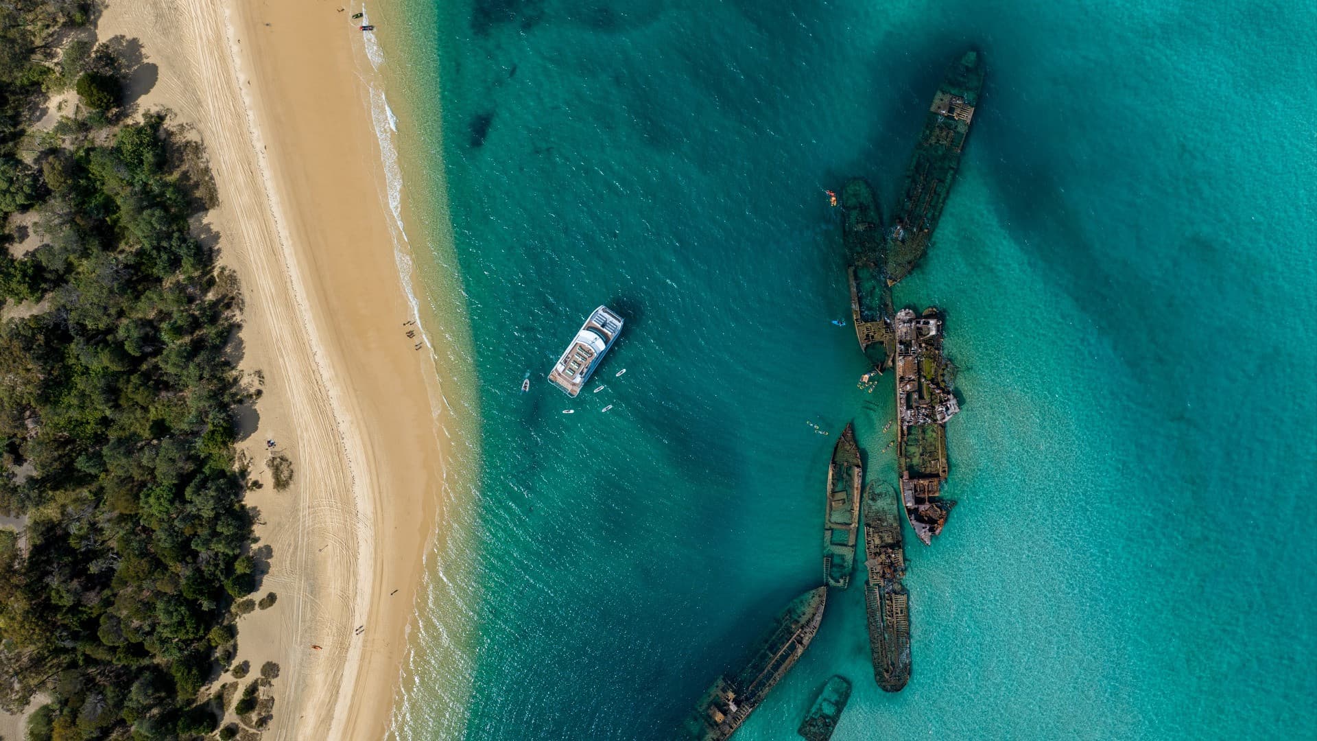 Tangalooma Wrecks & Dolphin Cruise Optional Round transfer from Brisbane City and Gold Coast - სურათი 14